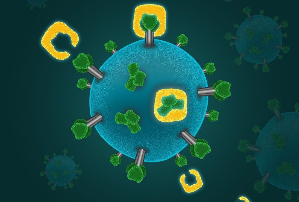 Caltech Scientists Turn Research Toward Fighting Coronavirus Pandemic