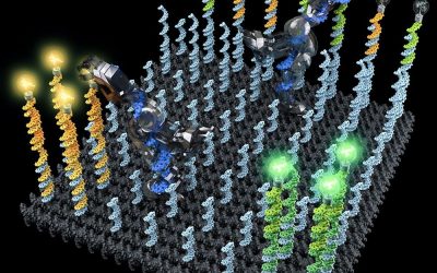 Sorting Molecules with DNA Robots