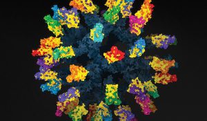 A new type of vaccine provides protection against a variety of SARS-like betacoronaviruses