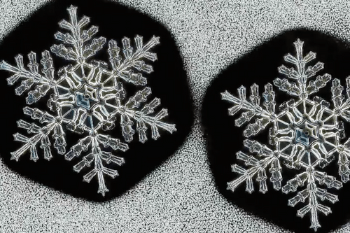 Who Ever Said No Two Snowflakes Were Alike?